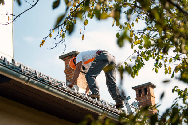 Best Roof Maintenance Services  in Farmville, VA