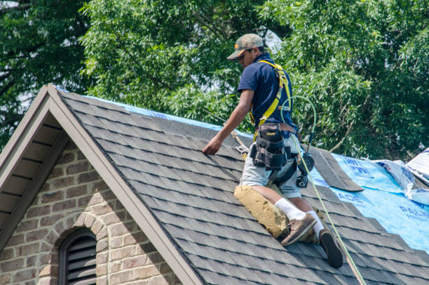 Best Flat Roof Repair Services  in Farmville, VA